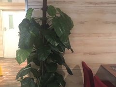 -比格比萨自助(宋家庄店)