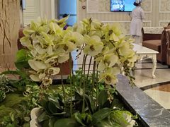 -名流健康高端体检中心·名宾门诊·健康管理