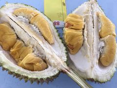 -SS2 榴梿鲜生
