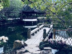 -上海醉白池公园