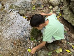 -王顺山国家森林公园