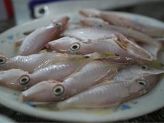 -山珍鲜牛肉火锅·本地连锁老字号(二马路汕中老店)