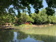 -西溪国家湿地公园