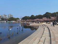-新江湾城公园