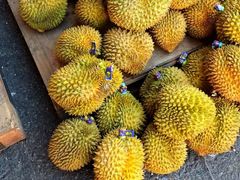 -沃尔玛(中山北路店)