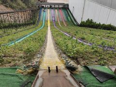-梦幻奥陶纪景区