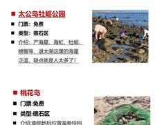 -巧克力渔家.小船海鲜家常菜(万平口店)