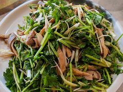 -鲤鱼塘农家山庄