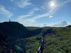 -涉地可支