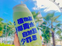 羽衣甘蓝生椰乳-蔻蔻椰·鲜萃椰子水(欢乐港湾店)