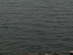 -碧海金沙