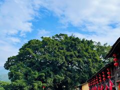 -云水谣景区
