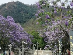 -西昌邛海湿地