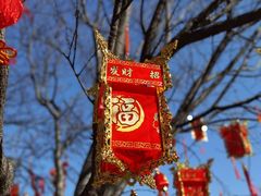 -北京石景山游乐园