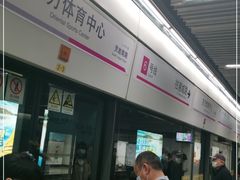 -东方体育中心(地铁站)