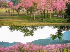 -风云岭森林公园