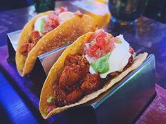 -Famous肥猫墨西哥音乐餐吧(五棵松华熙LIVE店)