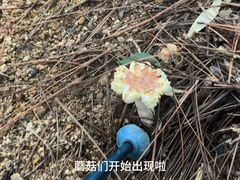 -白马涧龙池景区
