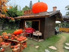 -HERRE·FARM 赫尔露营农场·团建聚会包场