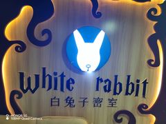 -白兔子密室(长寿路店)