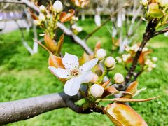-白塘生态植物园