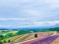 -富田农场