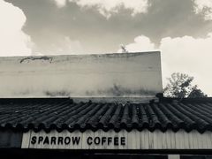 -麻雀咖啡SPARROW COFFEE(十全街店)