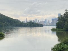 -深圳仙湖植物园