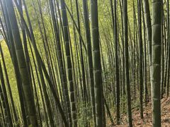 -五泄景区