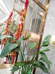 -Meng Lang 梦郎白金店