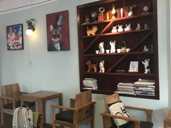 大堂-有猫主题·治愈系猫咖(曾厝垵店)