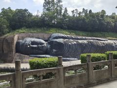 -三水森林公园