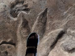 -湖南省地质博物馆