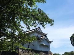 -名古屋城