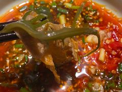 -袁老四重庆老火锅(桐梓坡店)