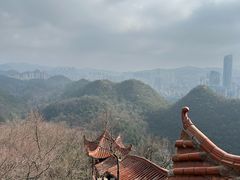 -黔灵山公园