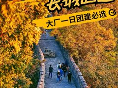 -桔子文创·企业团建·活动策划·拓展会议
