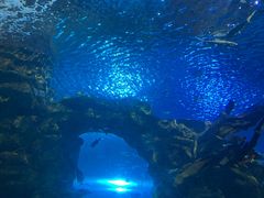 -太平洋海底世界