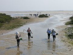 -北海金海湾红树林生态旅游区