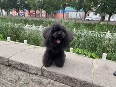 -沐沐家宠物(成寿寺店)