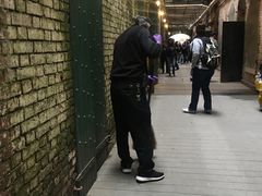 -阿尔卡特拉斯岛