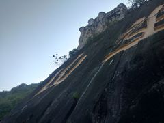 -南山植物园