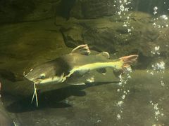 -泉州海丝野生动物世界