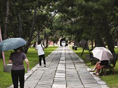 -北陵公园