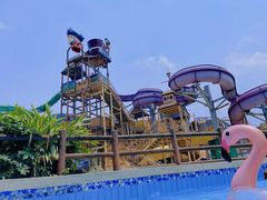-重庆海昌加勒比海水世界