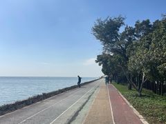 -贡湖湾湿地公园