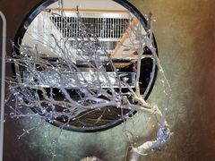 -红辣椒·川菜·火锅(张杨路店)