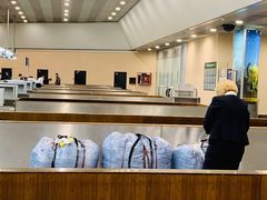 -谢列梅捷沃国际机场