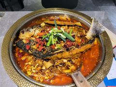 -肥家大排档(天河体育西店)