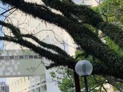 -香港大学